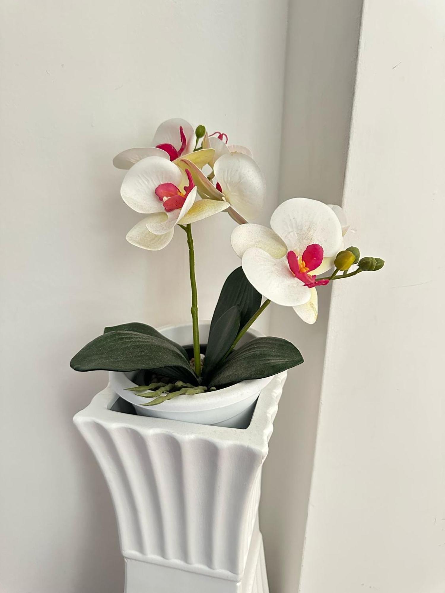 Trastevere Rome'S Heart Charming & Cozy Appartment 3 ภายนอก รูปภาพ