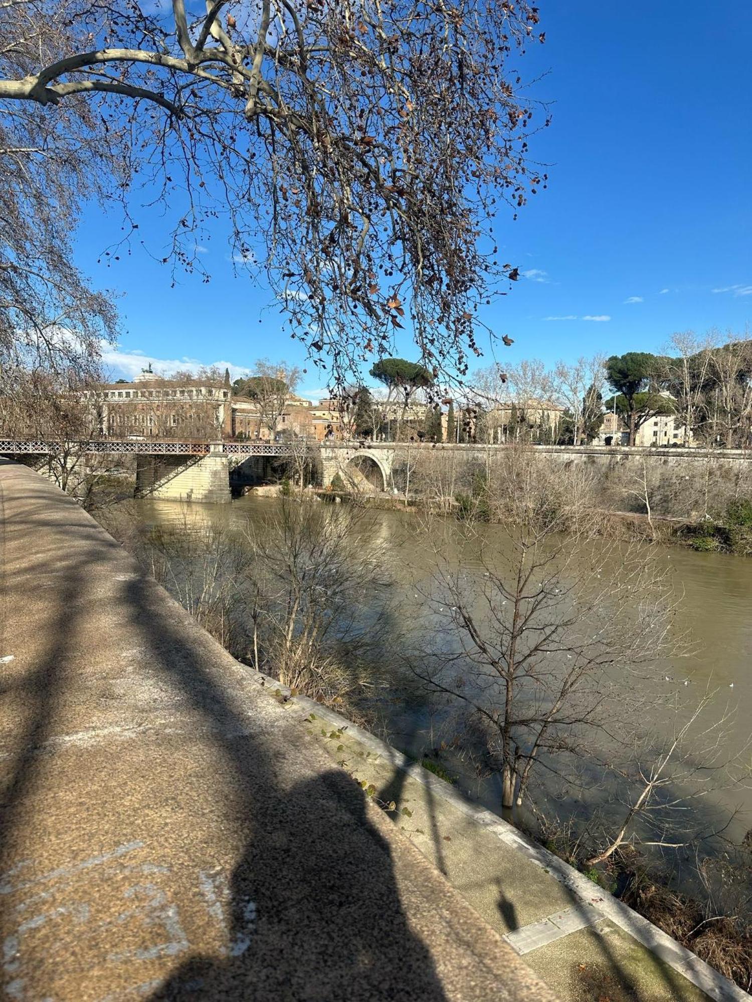 Trastevere Rome'S Heart Charming & Cozy Appartment 3 ภายนอก รูปภาพ